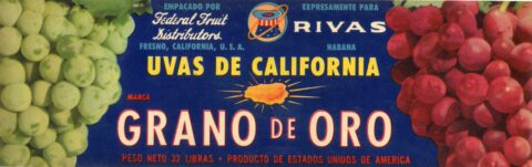 Grano De Oro